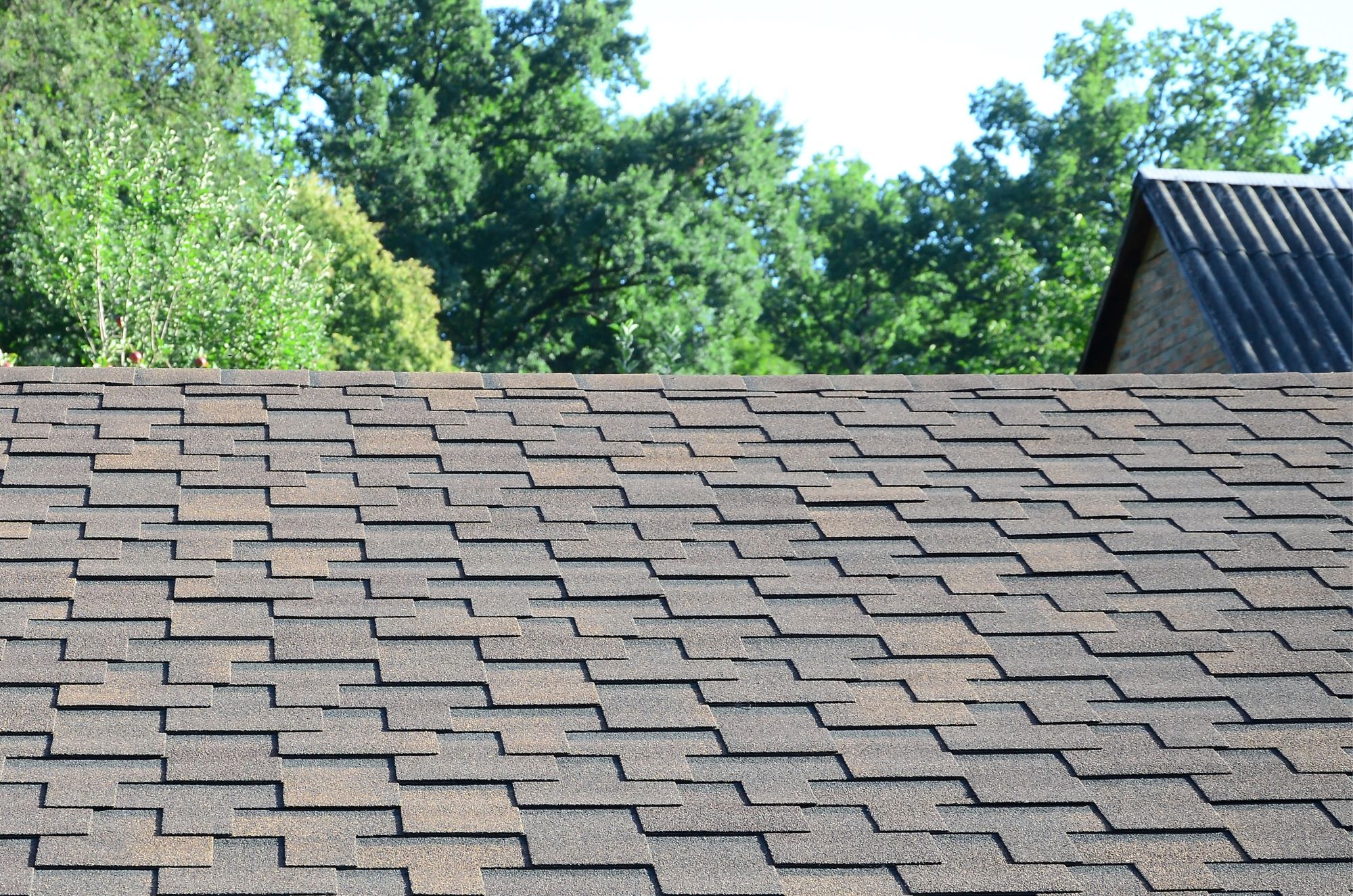 Roofing Trends